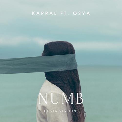 Numb (Linkin Park Cover) - DJ Kapral feat. Osya