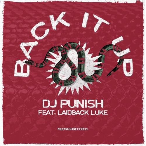 Back It Up - DJ Punish feat. Laidback Luke