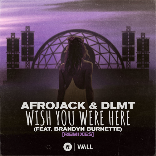 Wish You Were Here (Karim Meknassi Remix) - Afrojack & DLMT feat. Brandyn Burnette