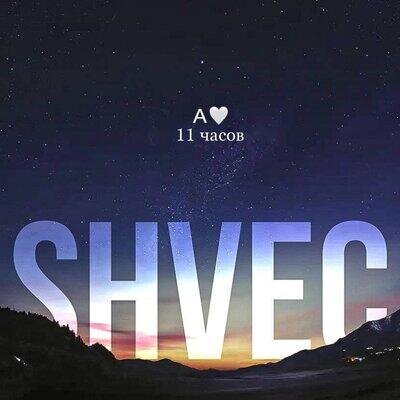 11 часов - SHVEC