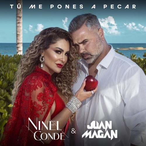 Me Pones A Pecar - Ninel Conde feat. Juan Magan