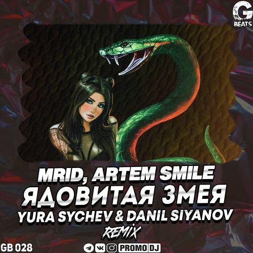 Ядовитая змея (Robert Cristian Remix) - MriD, Artem Smile