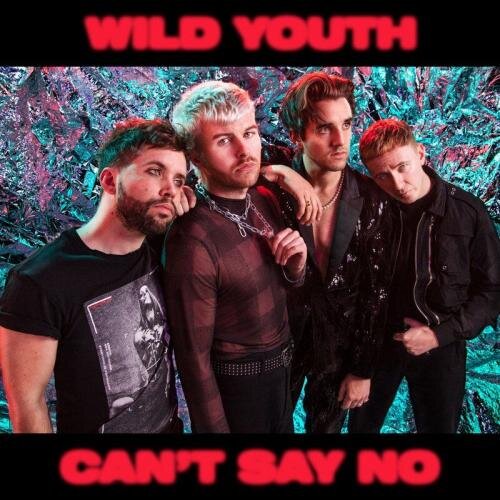 Cant Say No - Wild Youth