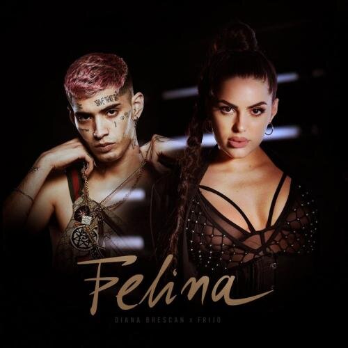 Felina - Diana Brescan feat. Frijo