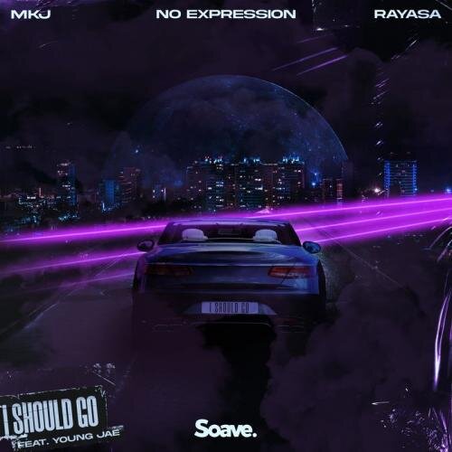 I Should Go - MKJ and No ExpressioN and Rayasa feat. Young Jae