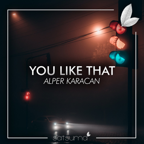 You Like That - Alper Karacan