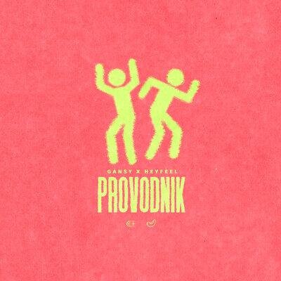 PROVODNIK - Gansy & HEYFEEL