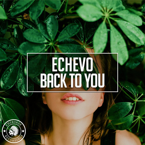 Back To You - Echevo