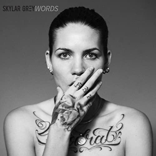 Words (HAYASA G x Blad3 Remix) - Skylar Grey