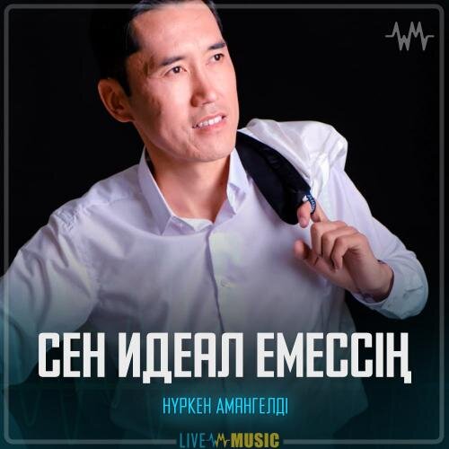 Сен идеал емессің - Нүркен Амангелді