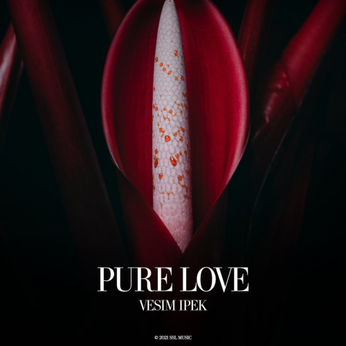 Pure Love - Vesim Ipek