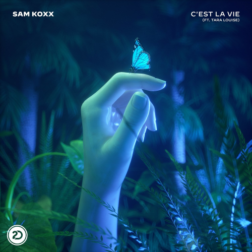 C'est La Vie - Sam Koxx feat. Tara Louise