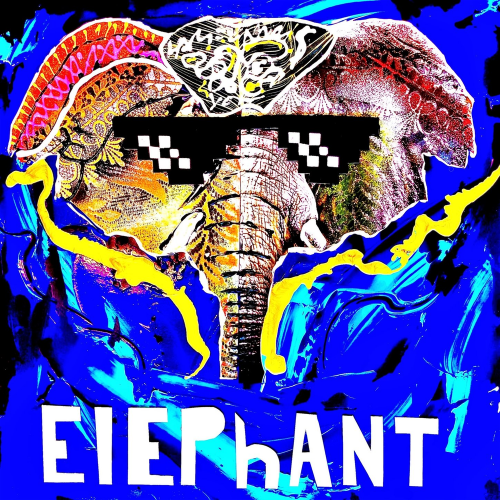 Elephant - Playmen & player1