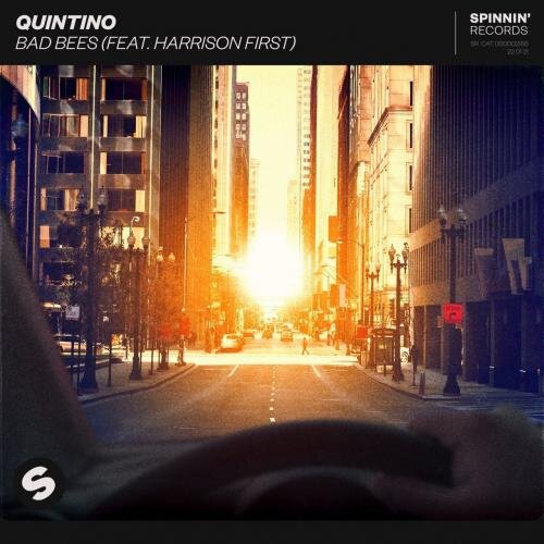 Bad Bees - Quintino feat. Harrison First