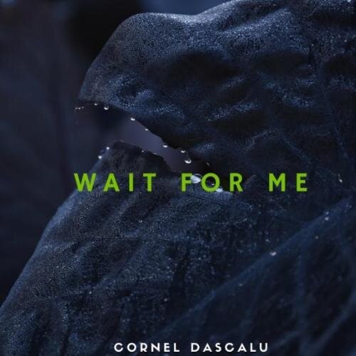 Wait For Me - Cornel Dascalu