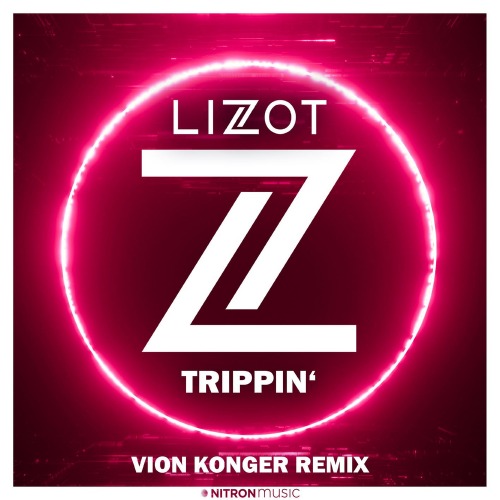 Trippin' (Vion Konger Remix) - Lizot