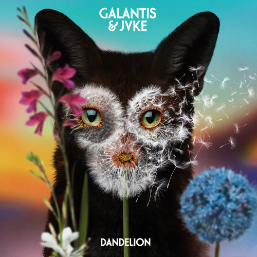 Dandelion - Galantis & Jvke