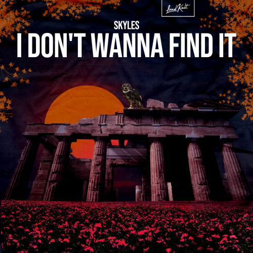 I Don't Wanna Find It - Skyles