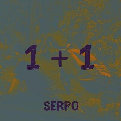 1 +1 - SERPO