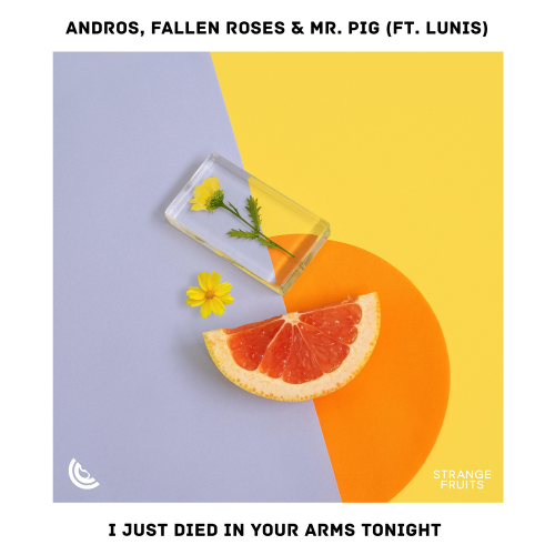 I Just Died In Your Arms Tonight - Fallen Roses & Mr. Pig & Lunis feat. Andros