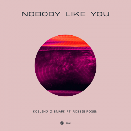 Nobody Like You - Kosling & Bmark feat. Robbie Rosen