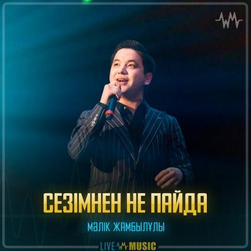 Сезімнен не пайда - Мәлік Жамбылұлы