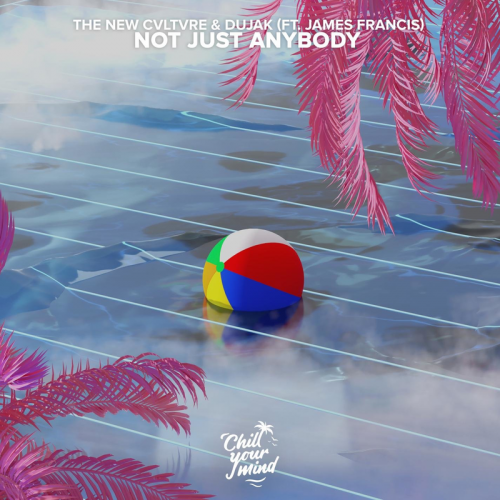 Not Just Anybody - THE NEW CVLTVRE & Dujak & James Francis