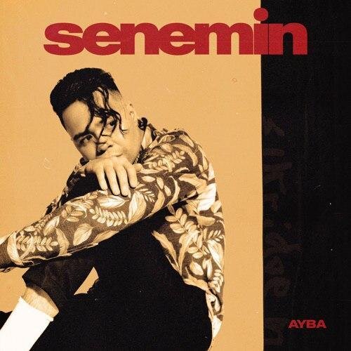 Senemin - AYBA