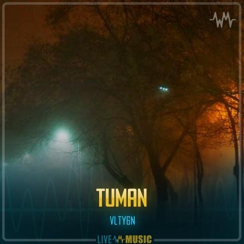 Tuman - VLTY6N