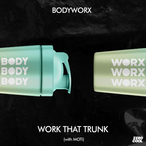 Work That Trunk - BODYWORX & Moti