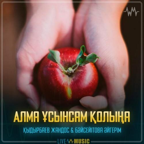 Алма ұсынсам қолыңа - Қыдырбаев Жандос & Бәйсейітова Әйгерім