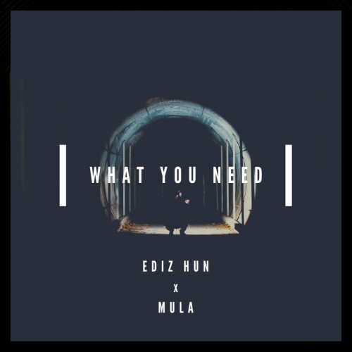 What You Need - Ediz Hun & Mula