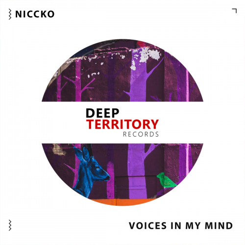 Voices in My Mind - NICCKO