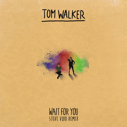 Wait for You (Steve Void Remix) - Tom Walker