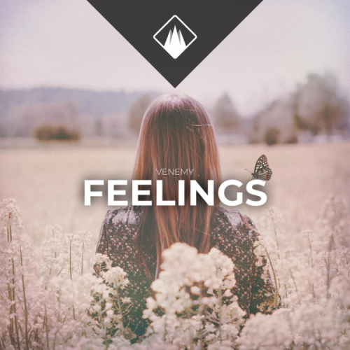 Feelings - Venemy