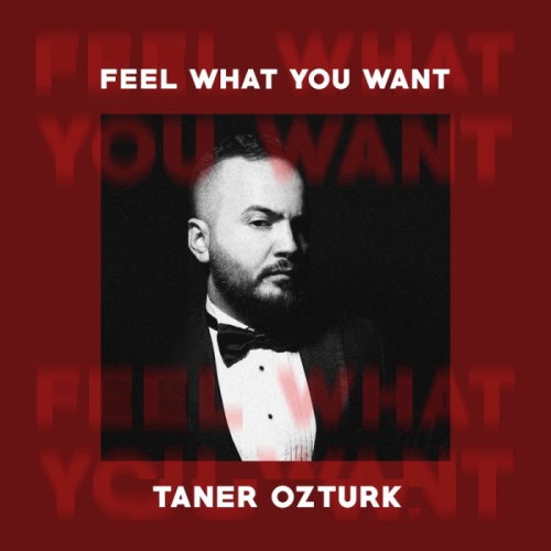 Feel What You Want - Taner Ozturk