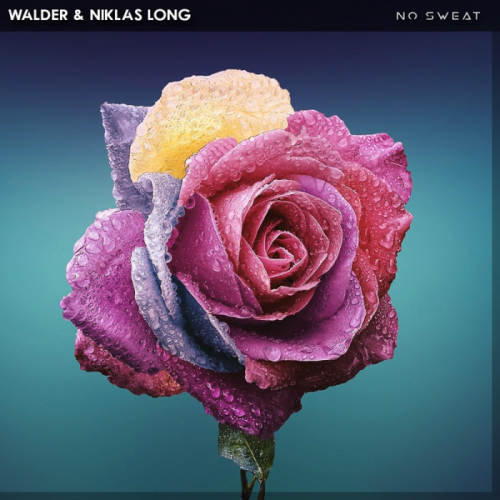 No Sweat - Walder & Niklas Long