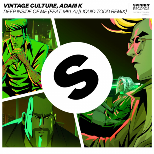 Deep Inside Of Me (Liquid Todd Remix) - Vintage Culture & Adam K feat. Mkla