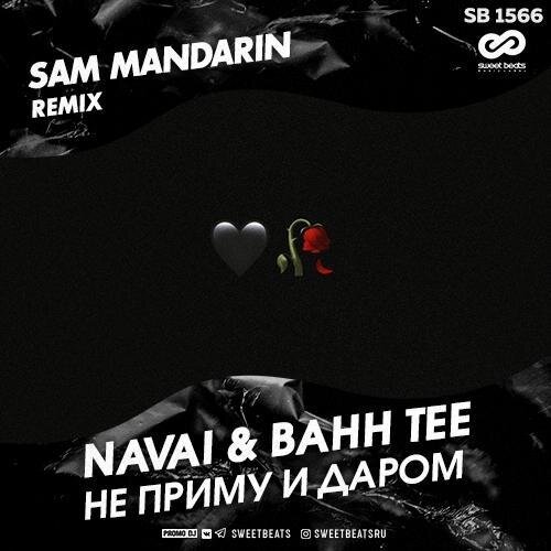 Не приму и даром (Sam Mandarin remix) - Navai