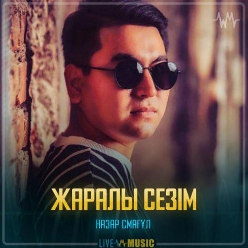 Жаралы сезім - Назар Смағұл