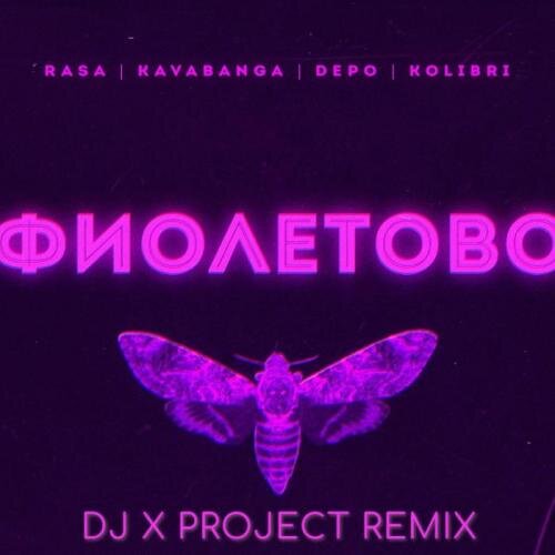 Фиолетово (D&S Project Radio Edit) - RASA & Kavabanga DEPO Kolibri