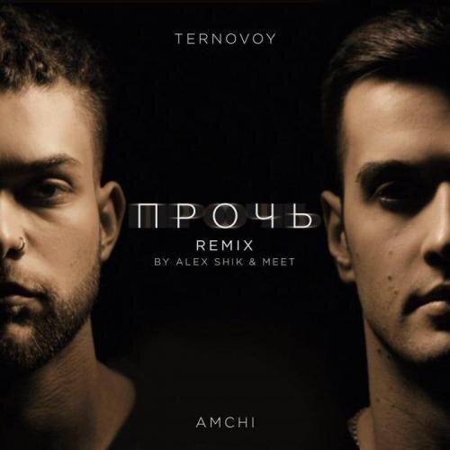 Прочь (Alex Shik & Meet Remix) - TERNOVOY feat. AMCHI