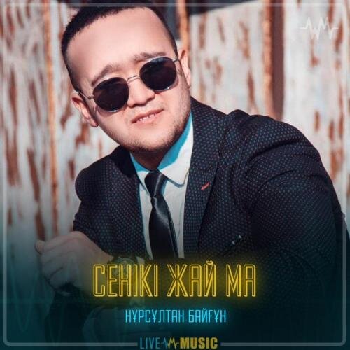 Сенікі жай ма - BAYGUN