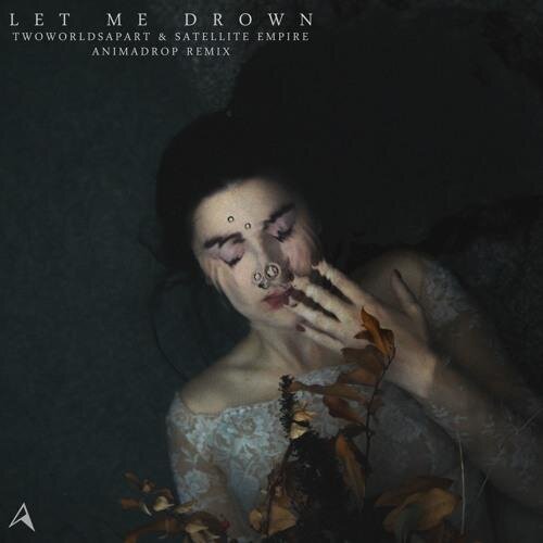 Let Me Drown (Animadrop Remix) - TwoWorldsApart & Satellite Empire