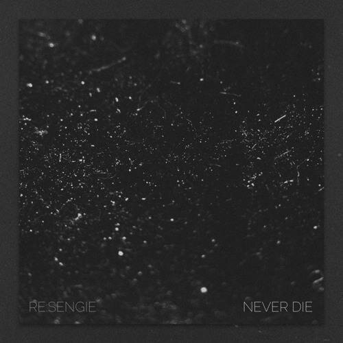 Never Die (Original Mix) - Re Sengie