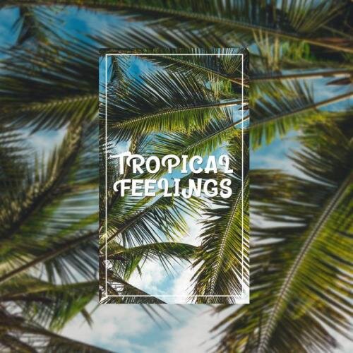 Tropical Feelings - LR Beats