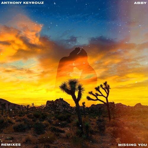 Missing You (Ilan Videns Remix) (Extended Version) - Anthony Keyrouz Ft. Abby