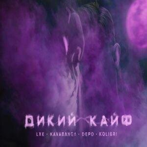 Дикий Кайф - LXE & Kavabanga Depo Kolibri 