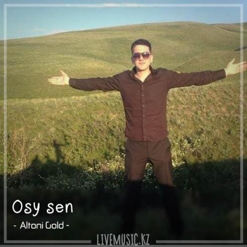 Osy sen (2018) - Altoni Gold