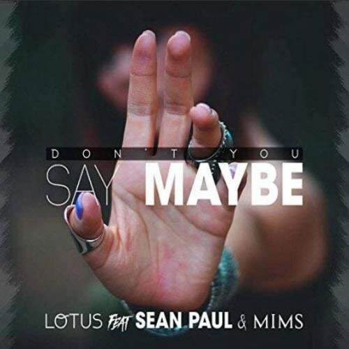 DON'T YOU SAY MAYBE FEAT. SEAN PAUL & MIMS - LOTUS